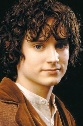elijah wood frodo. Elijah Wood (Frodo from